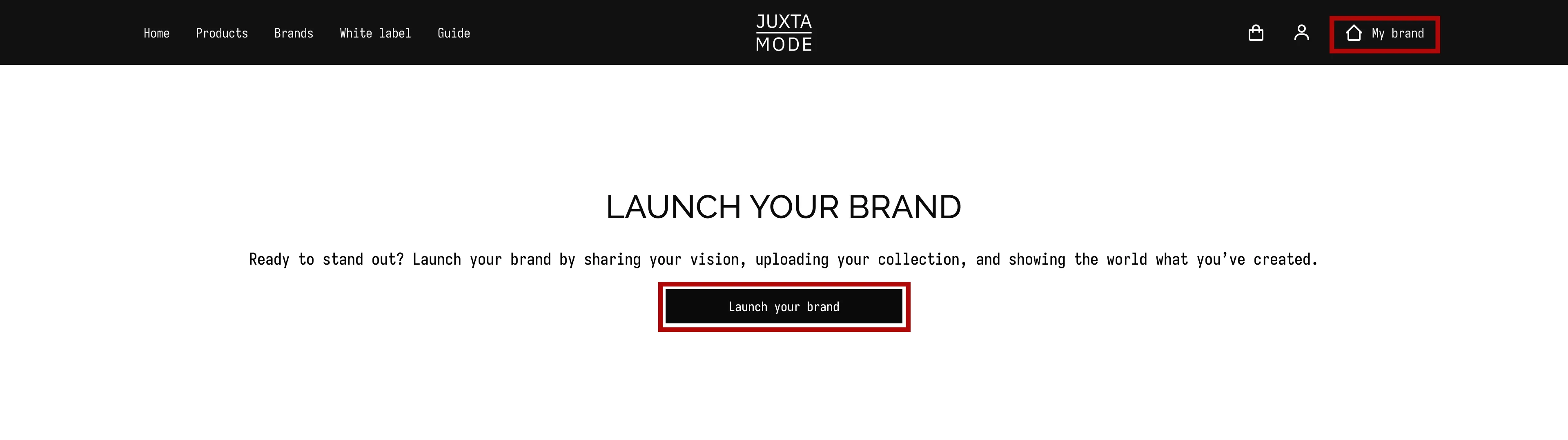 Your Creator Profile: